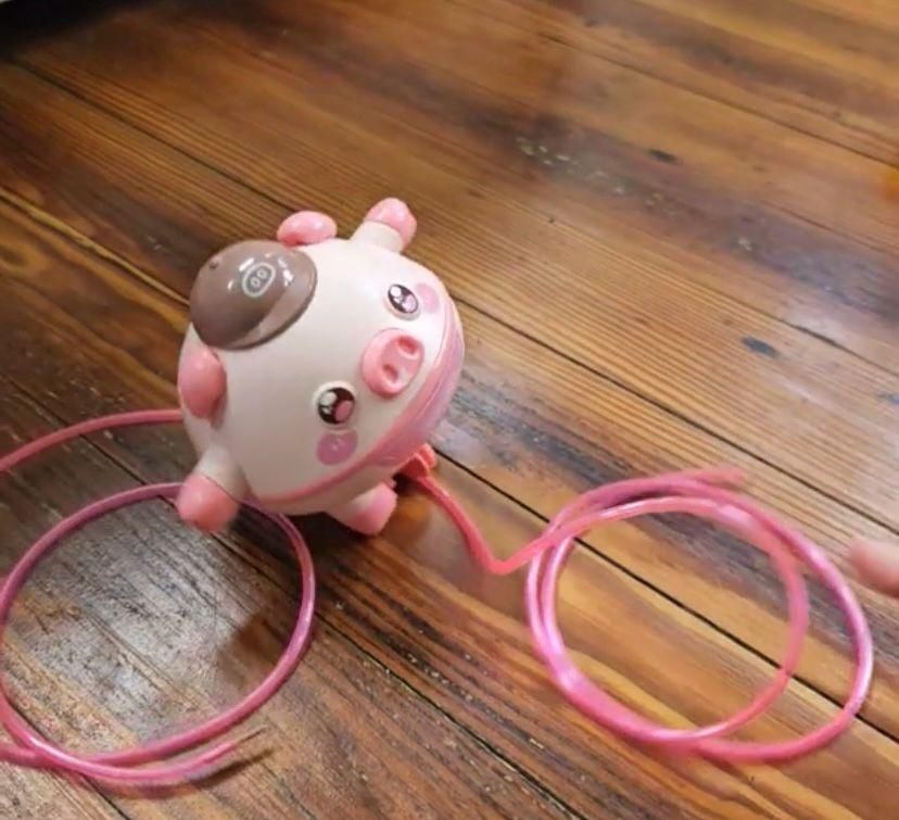 Balancing Act Bob: The Tightrope Pig!
